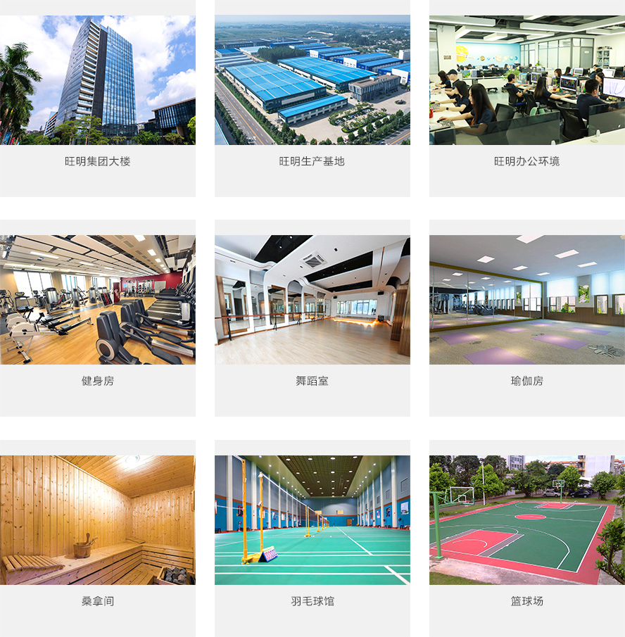 yp街机·电子游戏(中国)官方网站